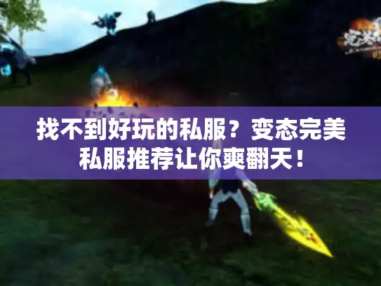 找不到好玩的私服？变态完美私服推荐让你爽翻天！