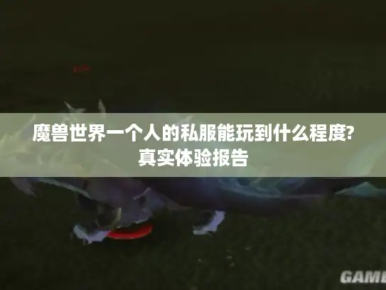 魔兽世界一个人的私服能玩到什么程度?真实体验报告