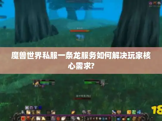 魔兽世界私服一条龙服务如何解决玩家核心需求? 魔兽世界私服一条龙服务如何解决玩家核心需求?