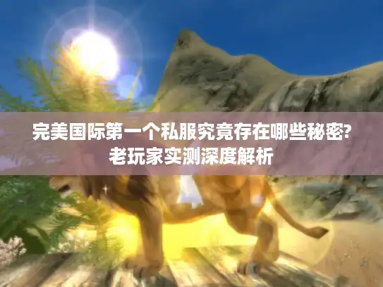 完美国际第一个私服究竟存在哪些秘密?老玩家实测深度解析