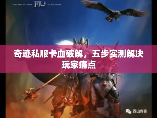 奇迹私服卡血破解，五步实测解决玩家痛点