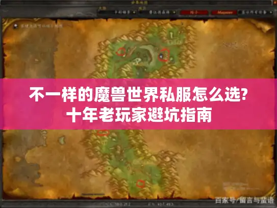 不一样的魔兽世界私服怎么选?十年老玩家避坑指南