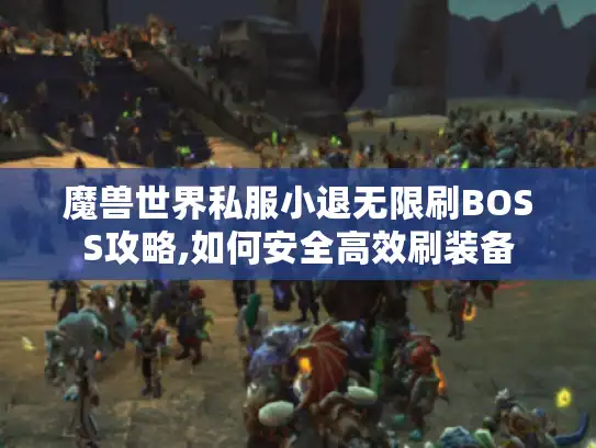 魔兽世界私服小退无限刷BOSS攻略,如何安全高效刷装备 魔兽世界私服小退无限刷BOSS攻略,如何安全高效刷装备