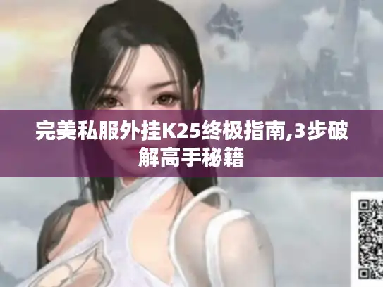完美私服外挂K25终极指南,3步破解高手秘籍
