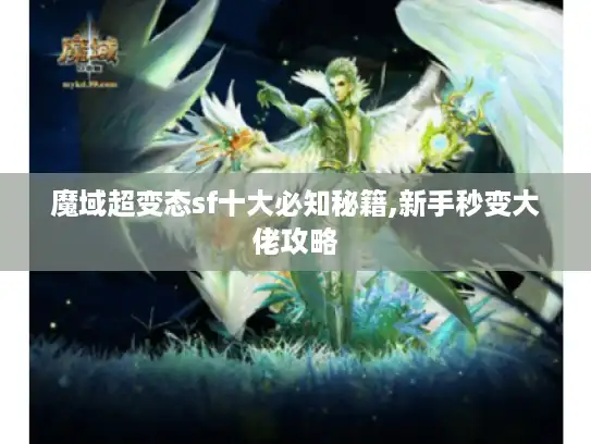 魔域超变态sf十大必知秘籍,新手秒变大佬攻略