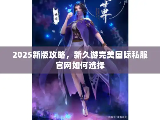 2025新版攻略，新久游完美国际私服官网如何选择