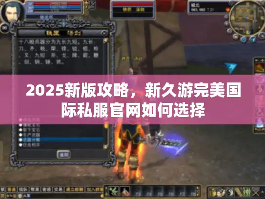 2025新版攻略，新久游完美国际私服官网如何选择