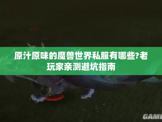 原汁原味的魔兽世界私服有哪些?老玩家亲测避坑指南