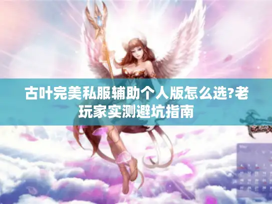 古叶完美私服辅助个人版怎么选?老玩家实测避坑指南