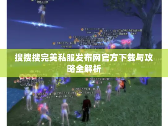 搜搜搜完美私服发布网官方下载与攻略全解析