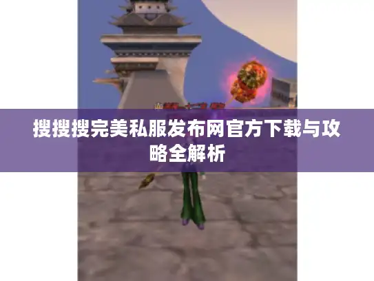 搜搜搜完美私服发布网官方下载与攻略全解析