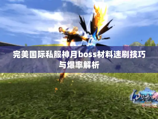 完美国际私服神月boss材料速刷技巧与爆率解析 完美国际私服神月boss材料速刷技巧与爆率解析