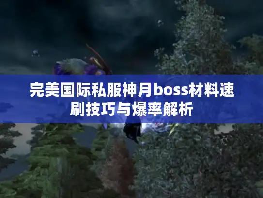 完美国际私服神月boss材料速刷技巧与爆率解析 完美国际私服神月boss材料速刷技巧与爆率解析