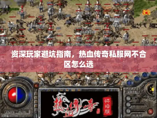 资深玩家避坑指南，热血传奇私服网不合区怎么选