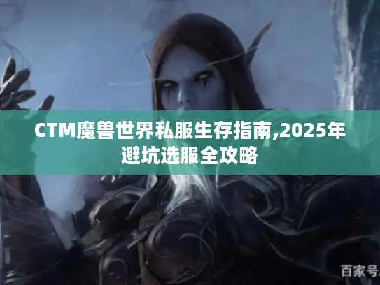 CTM魔兽世界私服生存指南,2025年避坑选服全攻略