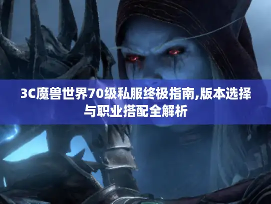 3C魔兽世界70级私服终极指南,版本选择与职业搭配全解析