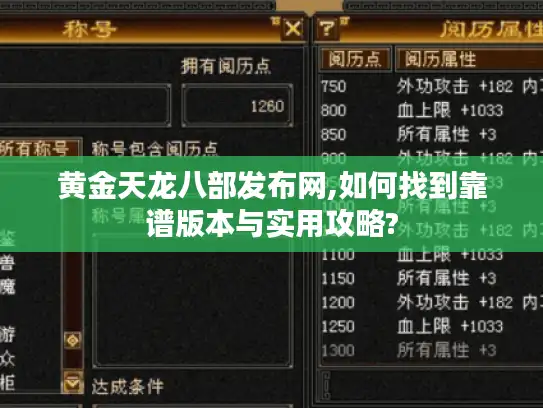 黄金天龙八部发布网,如何找到靠谱版本与实用攻略?
