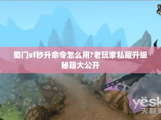 蜀门sf秒升命令怎么用?老玩家私藏升级秘籍大公开