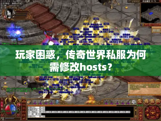 玩家困惑，传奇世界私服为何需修改hosts？
