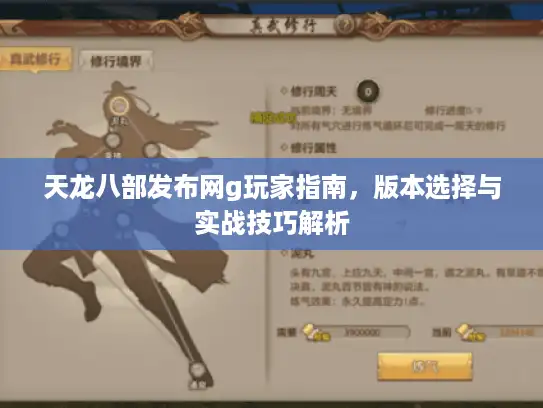 天龙八部发布网g玩家指南，版本选择与实战技巧解析