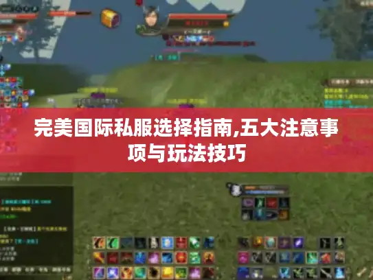 完美国际私服选择指南,五大注意事项与玩法技巧