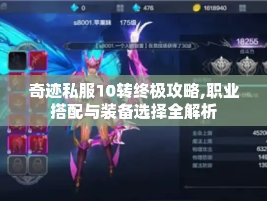 奇迹私服10转终极攻略,职业搭配与装备选择全解析