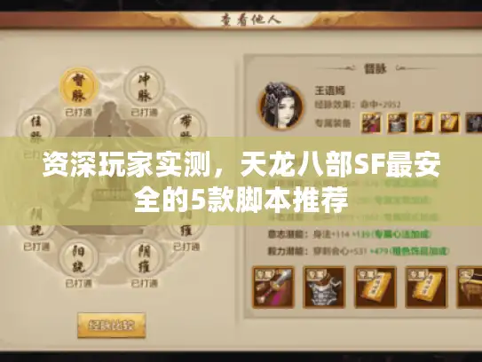 资深玩家实测,天龙八部SF最安全的5款脚本推荐 资深玩家实测,天龙八部SF最安全的5款脚本推荐