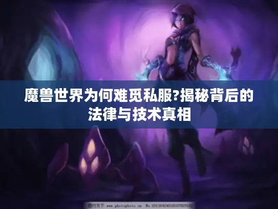 魔兽世界为何难觅私服?揭秘背后的法律与技术真相