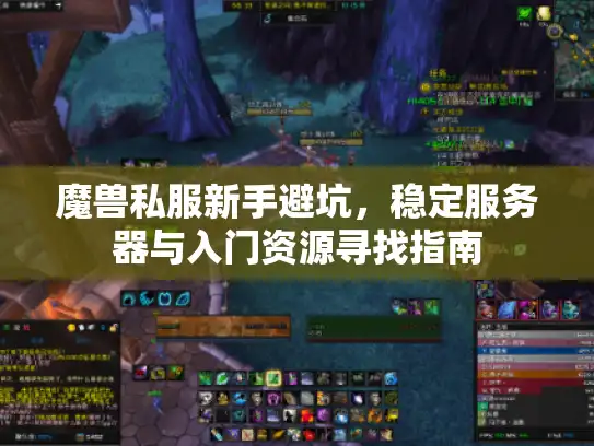 魔兽私服新手避坑,稳定服务器与入门资源寻找指南 魔兽私服新手避坑,稳定服务器与入门资源寻找指南