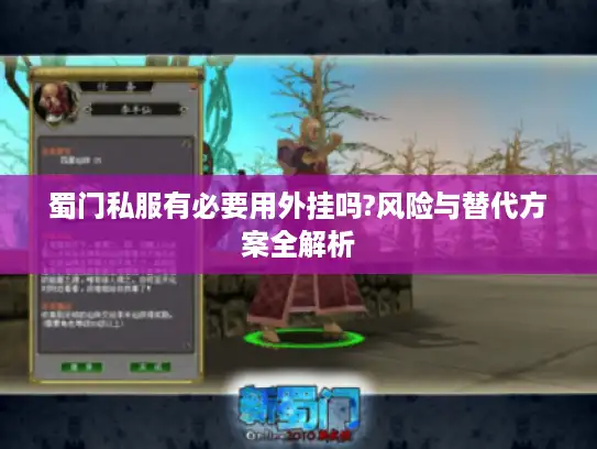 蜀门私服有必要用外挂吗?风险与替代方案全解析