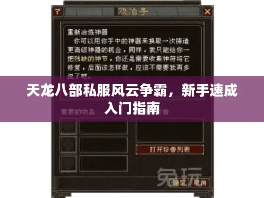 天龙八部私服风云争霸，新手速成入门指南