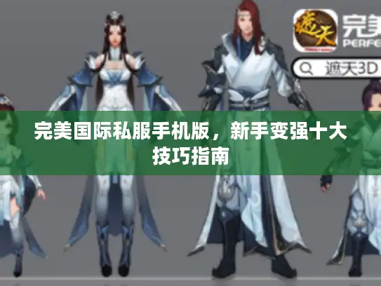完美国际私服手机版，新手变强十大技巧指南