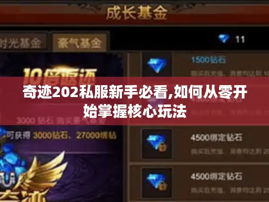 奇迹202私服新手必看,如何从零开始掌握核心玩法