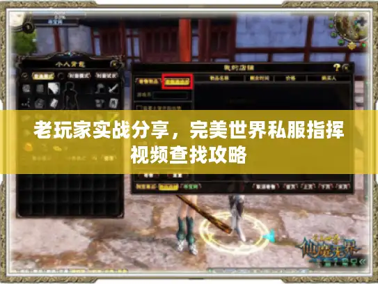 老玩家实战分享，完美世界私服指挥视频查找攻略