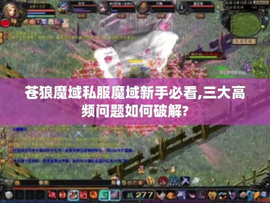 苍狼魔域私服魔域新手必看,三大高频问题如何破解?
