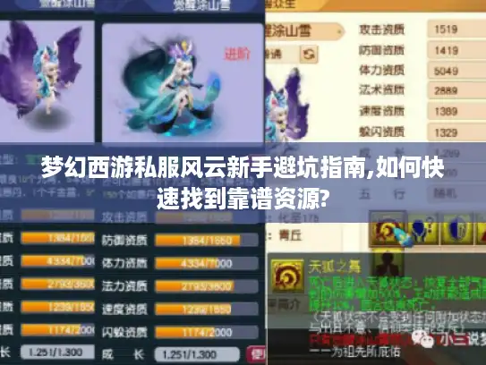 梦幻西游私服风云新手避坑指南,如何快速找到靠谱资源?