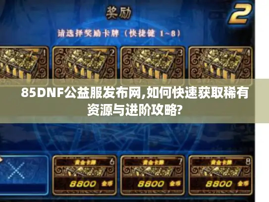85DNF公益服发布网,如何快速获取稀有资源与进阶攻略?