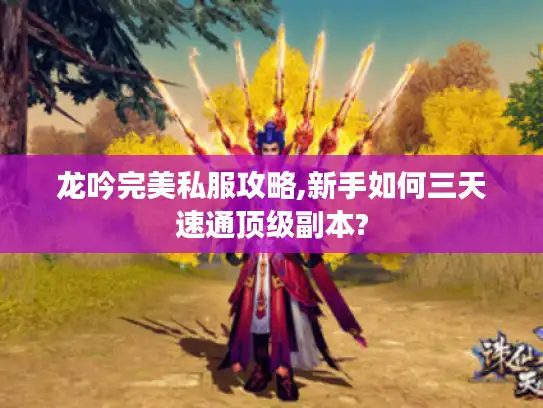龙吟完美私服攻略,新手如何三天速通顶级副本?