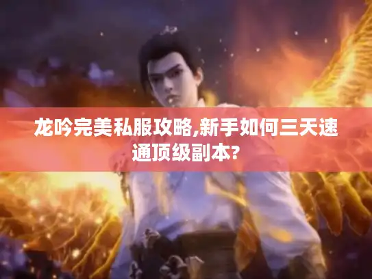 龙吟完美私服攻略,新手如何三天速通顶级副本?