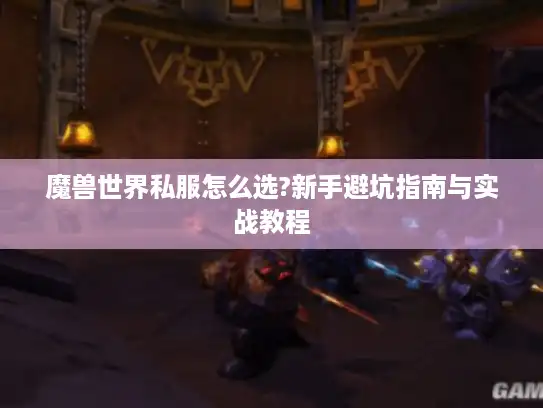 魔兽世界私服怎么选?新手避坑指南与实战教程