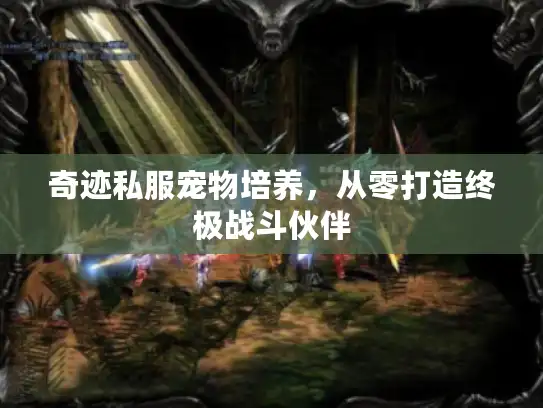 奇迹私服宠物培养，从零打造终极战斗伙伴