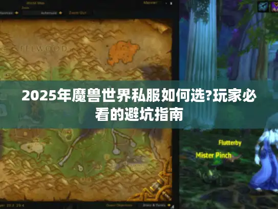 2025年魔兽世界私服如何选?玩家必看的避坑指南
