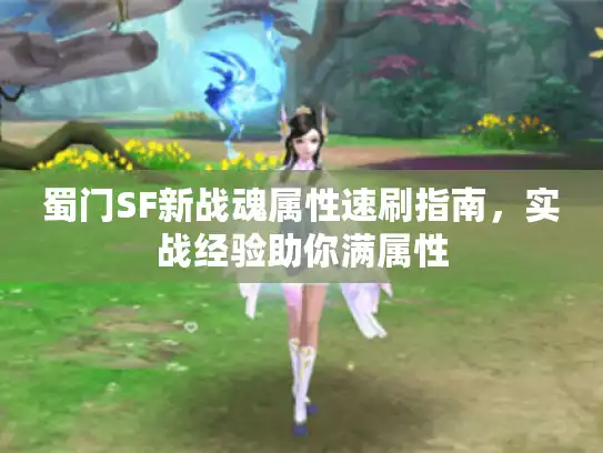 蜀门SF新战魂属性速刷指南，实战经验助你满属性