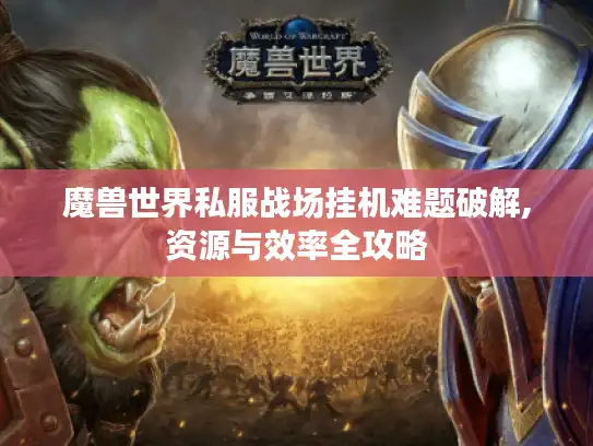 魔兽世界私服战场挂机难题破解,资源与效率全攻略 魔兽世界私服战场挂机难题破解,资源与效率全攻略