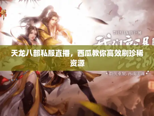 天龙八部私服直播，西瓜教你高效刷珍稀资源