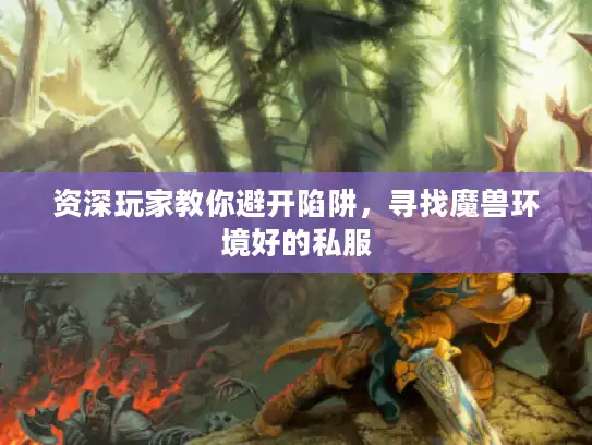 资深玩家教你避开陷阱,寻找魔兽环境好的私服 资深玩家教你避开陷阱,寻找魔兽环境好的私服