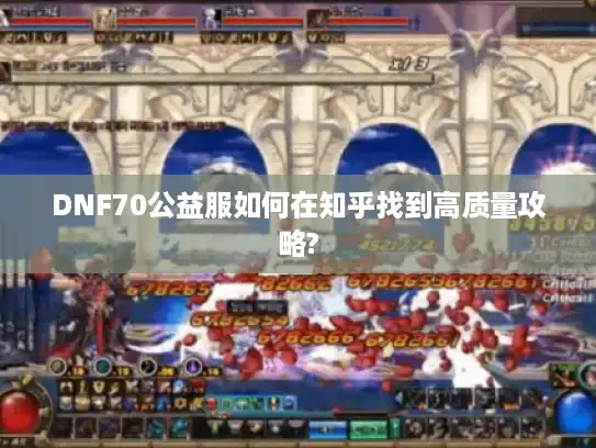DNF70公益服如何在知乎找到高质量攻略?