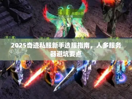 2025奇迹私服新手选服指南，人多服务器避坑要点