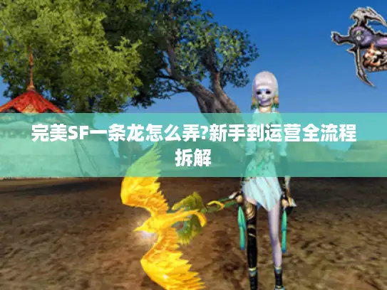 完美SF一条龙怎么弄?新手到运营全流程拆解