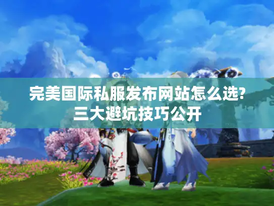 完美国际私服发布网站怎么选?三大避坑技巧公开